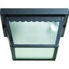 Satco 9.25 In. 2-Light Outdoor Ceiling Light (Black)