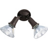Satco Nuvo Bronze Two-Light 10 Exterior Par38 Flood Light With Adjustable Swivel