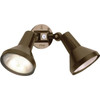 Satco Nuvo Bronze Two-Light 15 Exterior Par38 Flood Light With Adjustable Swivel
