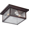 Satco Nuvo Vega 11.625 In. 2-Light Outdoor Ceiling Light (Classic Bronze)