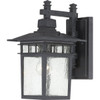 Satco Nuvo Cove Neck 9 X 14 In. 1-Light Outdoor Lantern (Textured Black)