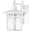 Satco Nuvo Cove Neck 9 X 14 In. 1-Light Outdoor Lantern (White)