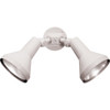 Satco Nuvo White Two-Light 15 Exterior Par38 Flood Light With Adjustable Swivel