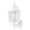 Satco 60/3487 Banyan 17 In. Incandescent Outdoor Wall Sconce