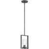 Designers Fountain Elements 4 In. 1-Light Pendant Fixture (Charcoal)