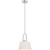Designers Fountain Studio 10 In. 1-Light Pendant Fixture (Satin Platinum)
