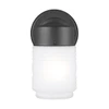 Generation Lighting 1-Light Black Wall Lantern Sconce With Satin Etched Diffuser