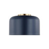 Generation Lighting Malone 1-Light Navy Ceiling Fixture, Flush Mount