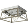 Progress Lighting Briarwood 2-Light Indoor Flush Mount, 12", Bleached Oak