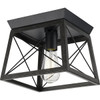 Progress Lighting Briarwood 1-Light Indoor Flush Mount, 9.5", Cerused Black