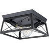 Progress Lighting Briarwood 2-Light Indoor Flush Mount, 12", Cerused Black