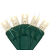 Wintergreen Lighting Softtwinkle 50 LED Christmas Lights, Green Wire, Warm White