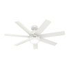 Hunter Fan 52" Brazos Ceiling Fan With LED Light, Damp Rated, Fresh White