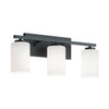 Afx Leo 22" 3-Light Vanity With Frosted Glass, Medium Base, Black