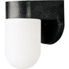 Progress Lighting 4.38 X 7 In. 1-Light Outdoor Lantern (Black)