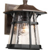 Progress Lighting Derby 8.5 X 11.25 In. 1-Light Outdoor Lantern (Espresso)