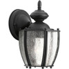 Progress Lighting Roman 6 X 9.75 In. 1-Light Outdoor Lantern (Black)