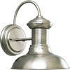 Progress Lighting Brookside 8.13 X 10 In. 1-Light Outdoor Lantern (Antique Nickel)