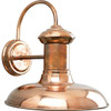 Progress Lighting Brookside 12 X 12.38 In. 1-Light Outdoor Lantern (Cognac)
