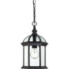 Nuvo Lighting Boxwood 8 In. 1-Light Outdoor Pendant Fixture (Textured Black)