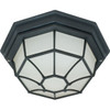 Nuvo Lighting 11.375 In. 1-Light Outdoor Ceiling Light (Textured Black)