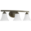 Progress Lighting Adorn 22 In. 3-Light Incandescent Bath Vanity Fixture