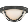 Satco Sherwood 2-Light Incandescent Flush Mount Light