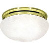 Satco Sf76/678 2-Light Incandescent Flush Mount Light