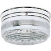 Satco Sf77/102 2-Light Incandescent Flush Mount Light