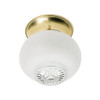 Satco 5.5 In. 1-Light Incandescent Flush Mount Light (Brass)