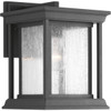 Progress Lighting Led Endicott Black One-Light Small Wall Lantern
