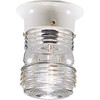 Progress Lighting Led Utility Lantern White One-Light Flush Mount Fixture