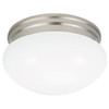 Generation Lighting Brushed Nickel Webster One Light Ceiling Flush Mount