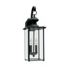 Generation Lighting Jamestowne 7 X 20.25 In. 350 Lm 2-Light Outdoor Lantern (Black)