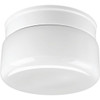 Progress Lighting 9 In. 2-Light Incandescent Flush Mount Light (White)