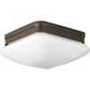 Progress Lighting 1-Light Incandescent Flush Mount Light (Antique Bronze)