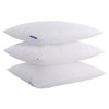 Keeco Best Western Pillow Program Assortment Kit