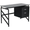 Carnegy Avenue 46 In. Rectangular 2 -Drawer Computer Desk With File Storage (Black)