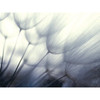 Red Roof Inn Dandelion Flower 36wx24h Canvas Print W/espresso Frame