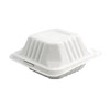 RDI-USA Bagasse Clamshell 6x6 1-Compartment Case Of 500