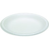 9" Foam Plate Case Of 500