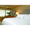 Oasis T300 Fitted Sheet Queen 60x80x15" White Case Of 12