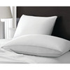 Superside Gusset Side Cluster Pillow, Queen 20x30", 21.5 Ounce, Case Of 10