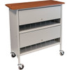 Omnimed Artisan Privacy Cabinet Chart Rack, 16 Cap, Cherry Thermofoil Top, Grey