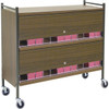 Omnimed Omnicart Chart Rack In Beige Holds 30 Binders Locking Panel 2 X 12"