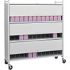 Omnimed Omnicart Locking Chart Rack In Woodgrain Holds 36 Binders Panel 3x12"