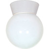 Satco Nuvo 6 In. 1-Light Outdoor Ceiling Light