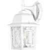 Satco Banyan 6.13 X 12.25 In. Incandescent Outdoor Wall Sconce