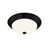 Seasons 11-Inch Dome 2-Light 60w Incandescent Flush Mount Light, Matte Black