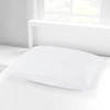 Tria Pillow By Pacific Coast Standard Gray Feather & Lyocell Down Fill 28x25x15